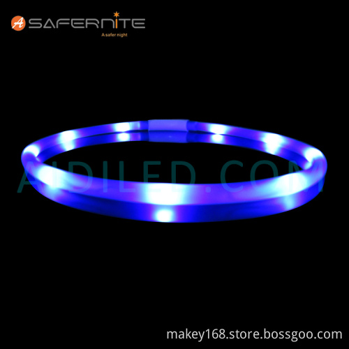 Dog Collars That Light Up Blue At Night